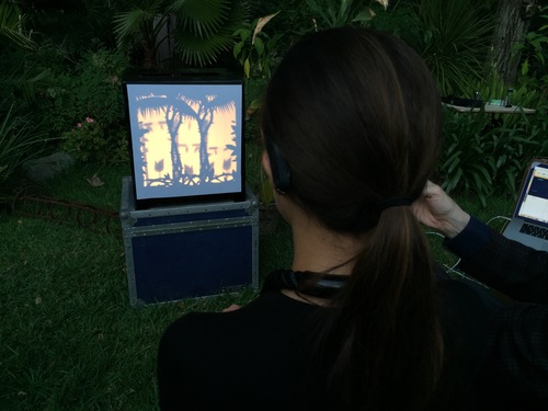 Photographed from behind, a woman with straight black hair in a ponytail sits 5 feet in front of a black box with a scene depicted via silhouette: trees, flowers, vines. The scene is outside on a grassy patch in front of a brush.